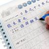 6Pcs/Sets 3D Chinese Characters Reusable Groove Calligraphy Copybook Learn Hanzi Adults Art Writing Practice Books Libros