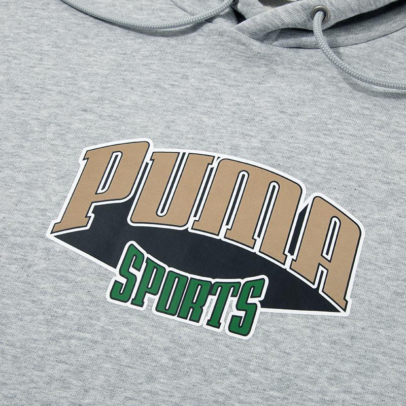 PUMA Sweatshirts Men's Hooded Moderate Regular 626179-04