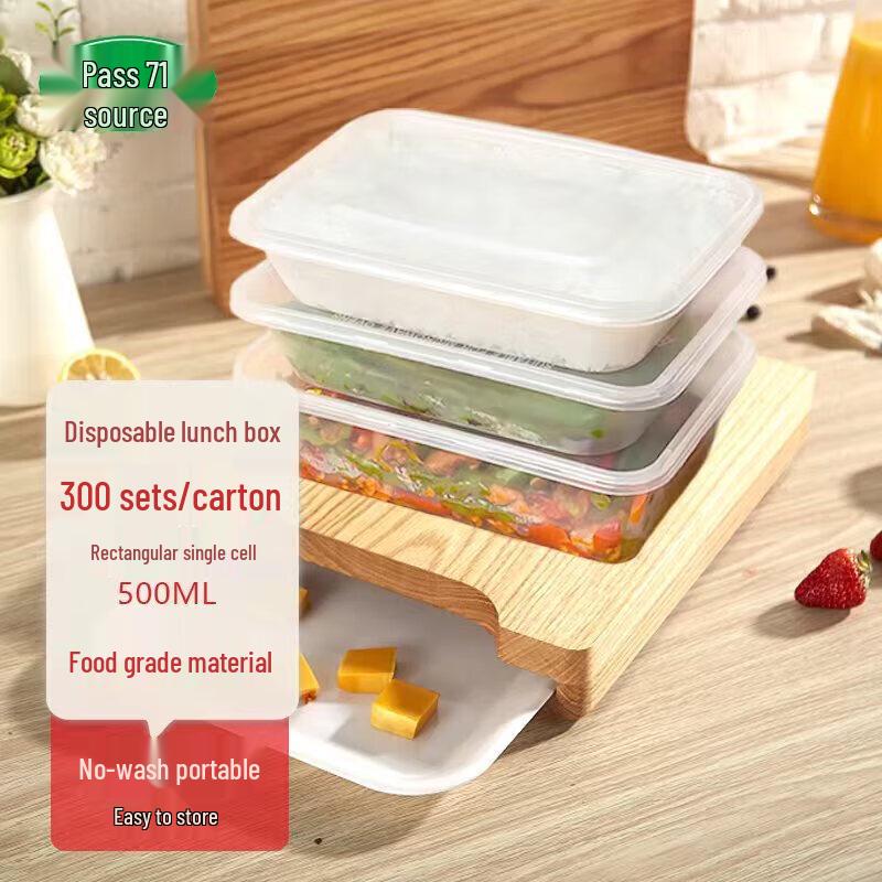 Tongyuan Disposable Rectangular Lunch Box with Lid