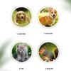 Pet Nail Grinder Battery Operated For Dogs And Cats Low Noise Nail Trimmer For Home Pet Grooming Care Tools