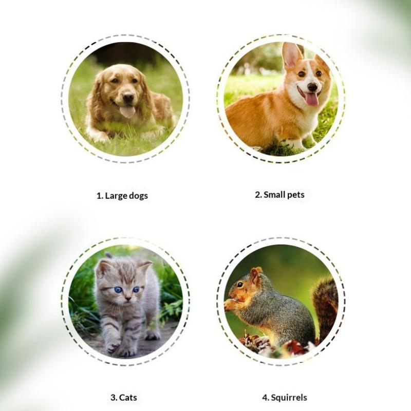 Pet Nail Grinder Battery Operated For Dogs And Cats Low Noise Nail Trimmer For Home Pet Grooming Care Tools
