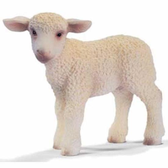 Schleich Farm World Sheep 13285 (Standing)