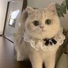 Dog Saliva Wipes, Pet Scarves, Large, Medium and Small Dog Bibs for Cats, Pet Accessories, Necklaces, Collars, Ringbells, Bow Ties