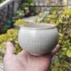 Breathable Large Round Ceramic Planter Pot