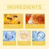 Bee Venom Face and Neck Cream Deeply Moisturizes Brightens Skin Boosts Elasticity for Radiant Glow
