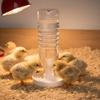 Chick Waterer Base Anti-Drowning Poultry Water Drinker Fits 2.4cm Mineral Water Bottle Duckling Chicken Farm Feeding Supplies