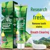 Artemisinin Herbal Toothpaste for Gum Care - 120g, Fresh Breath & Oral Health
