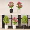 1/12 Scale Dollhouse Simulation Plant Potted Model Mini Home Decoration Micro Garden Landscape Ornaments for Dolls House