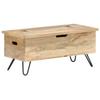 Day and Night - Day and Night Solid Mango Wood Trunk 90x40x45 Cm