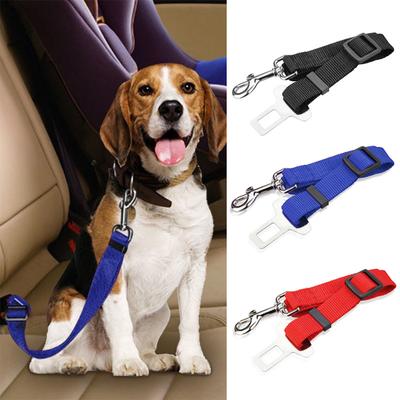 Köpek – Köpek Tasmaları ve Tasma Kayışları