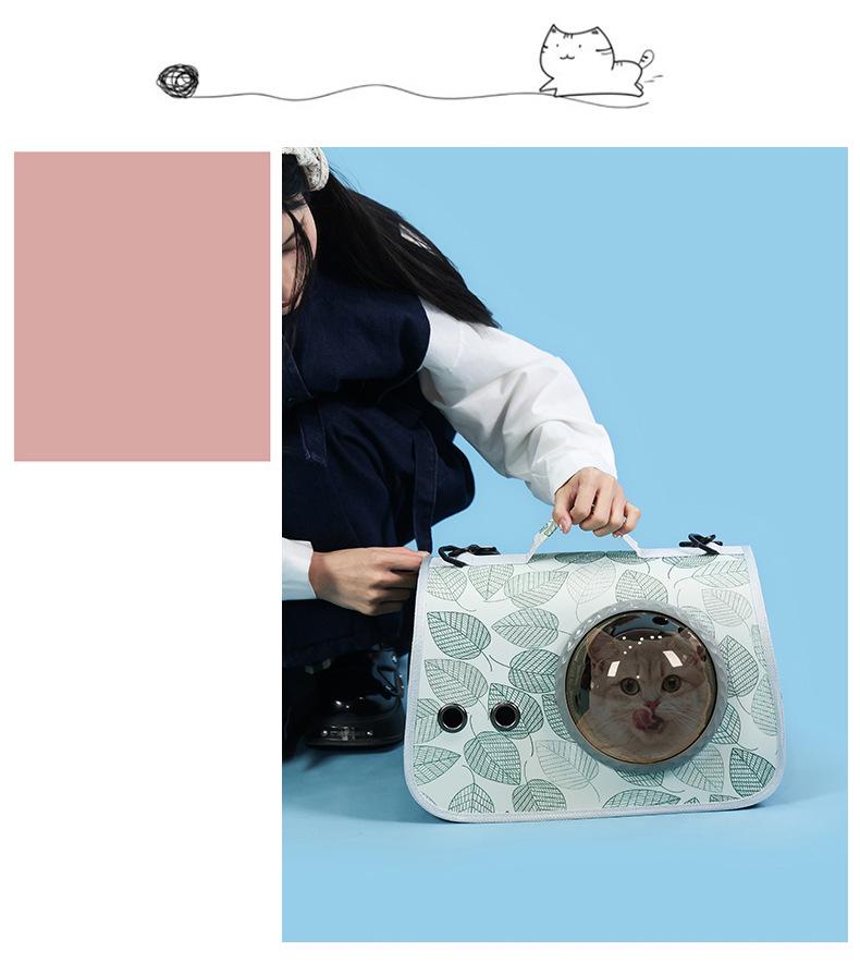 Portable Foldable Pet Space Capsule: Large Capacity Airline Crate for Cats and Dogs