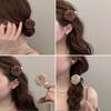 Hairpin Dry Rose Flower Decor Hair Clip with Imitation Pearls Half-Tie Hair Side-swept Hair Claw Vintage Style Hair Accessory