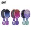 Hairbrush Mini Detangler Shimmering Sky Dry Comb