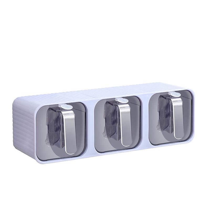 Wall-Mounted Multi-Grid Large-Capacity Sealed Spice Storage Box Set