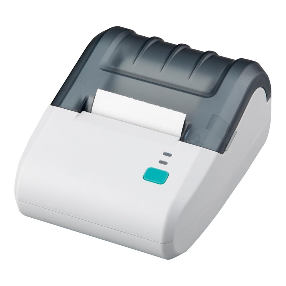 AS ONE Separate Analytical Balance with Dedicated Printer, AEB-Printer 4-6252-12