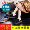 Leather Snow Boots Women's Winter New Plush Plush Flats Casual Warm Women's Boots Versatile Boots Women