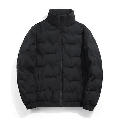 Warme Daunenjacke für Herren mit weißen Entendaunen, Graphen Stehkragenjacke, Leichte Daunenjacke, Schlicht und minimalistisch