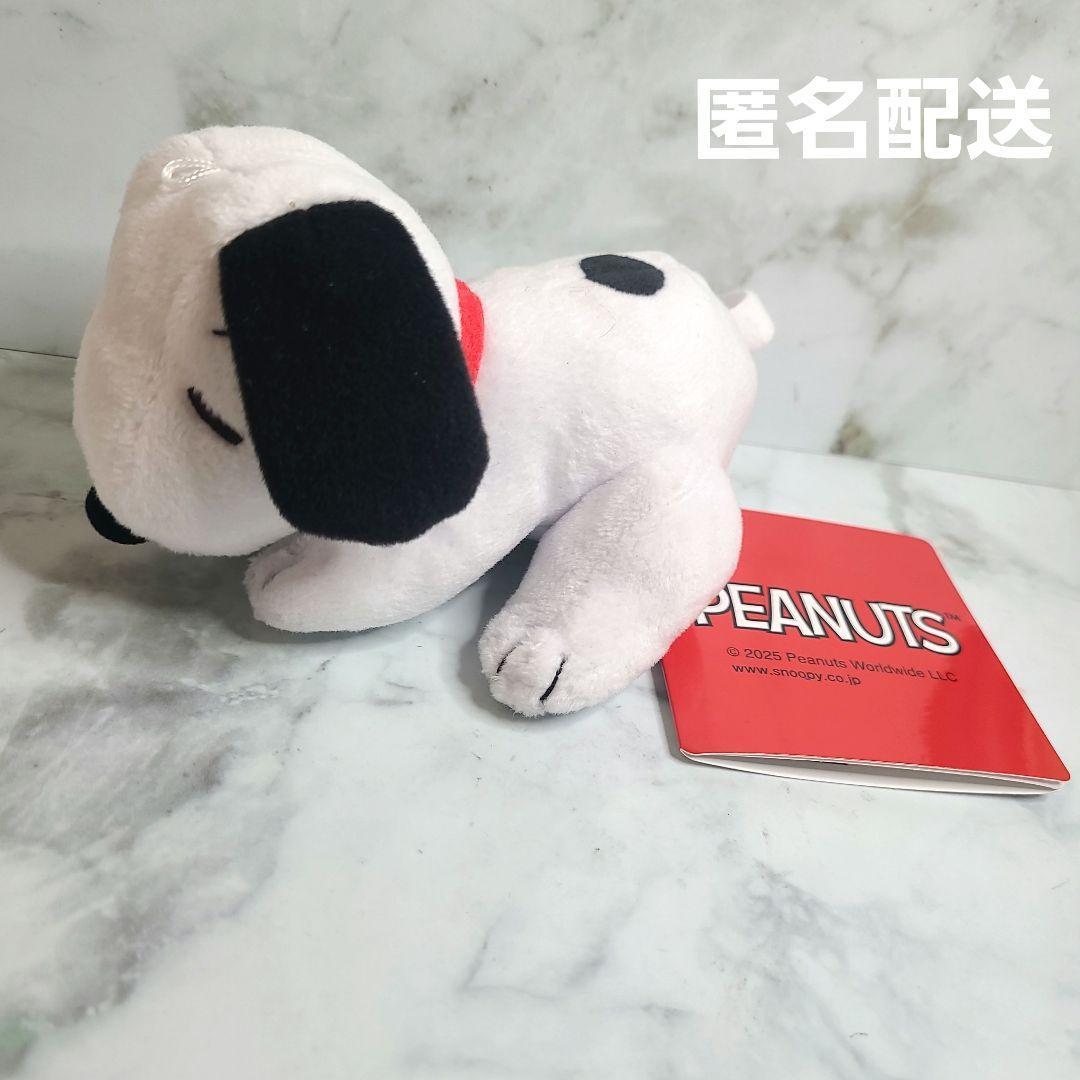 Snoopy Sleepy Dream Plush Toy Mascot Anonymous Delivery