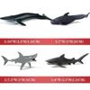 Megalodon Great White Marine Animal Plastic Model Birthday Realistic Interior Decor Shark, Shark, Animal, Fish, Set, 11PCS, Kit, Model, Present, Gift,
