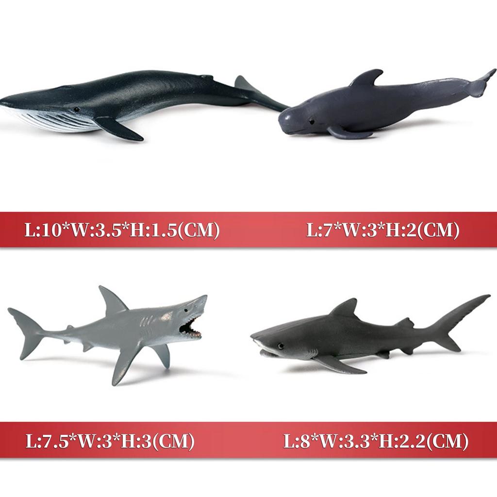 Megalodon Great White Marine Animal Plastic Model Birthday Realistic Interior Decor Shark, Shark, Animal, Fish, Set, 11PCS, Kit, Model, Present, Gift,