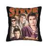 Steve Harrington Bootleg Series, Soft Polyester Fiber Cushion Covers, Decorative Style, Unique Pillow Covers, With Zippers For C
