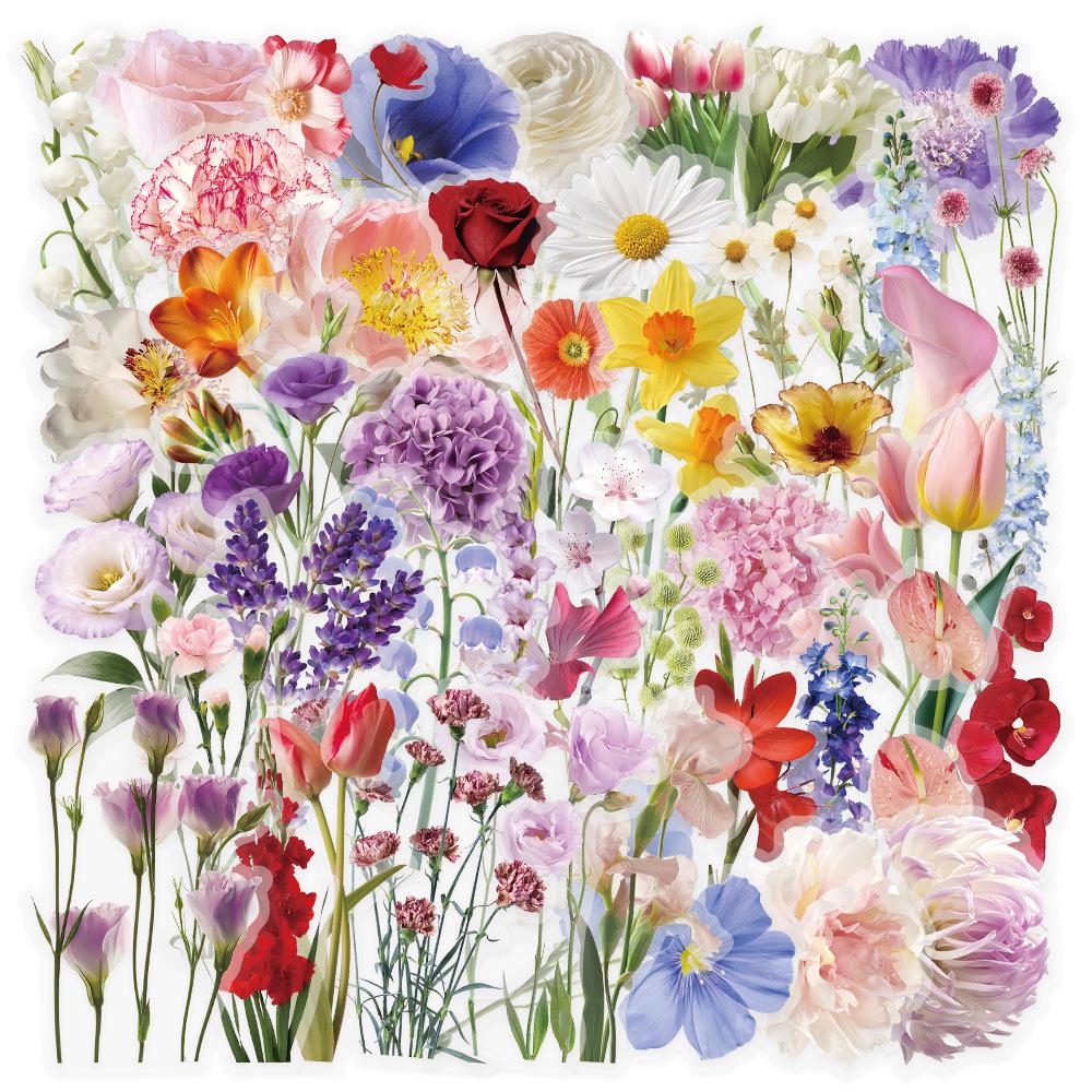 50 Sheets Waterproof Transparent PET Watercolor Stickers for DIY Graffiti and Decoration
