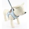 Dogeye puppy denim harness + lead leash set, light blue