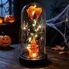 Romantic Spooky Festival Gift Halloween Indoor Light Up Rose in Plastic Dome Cloche, Artificial Preserved Flower Shadow Night with Spider Pumpkin