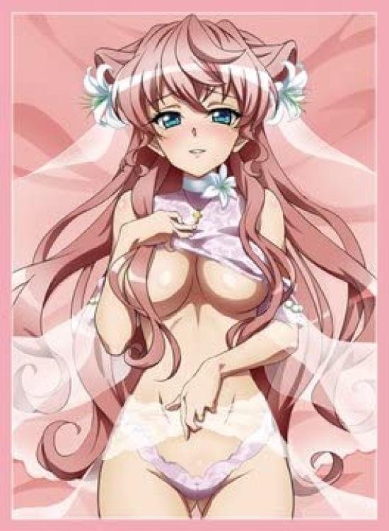 

Midnight Blue Standard Size Card Sleeve Zesshou Symphogear Maria Daichi Senki (Wedding A)/illust Fujikawa [SankuriAutumn 2021]