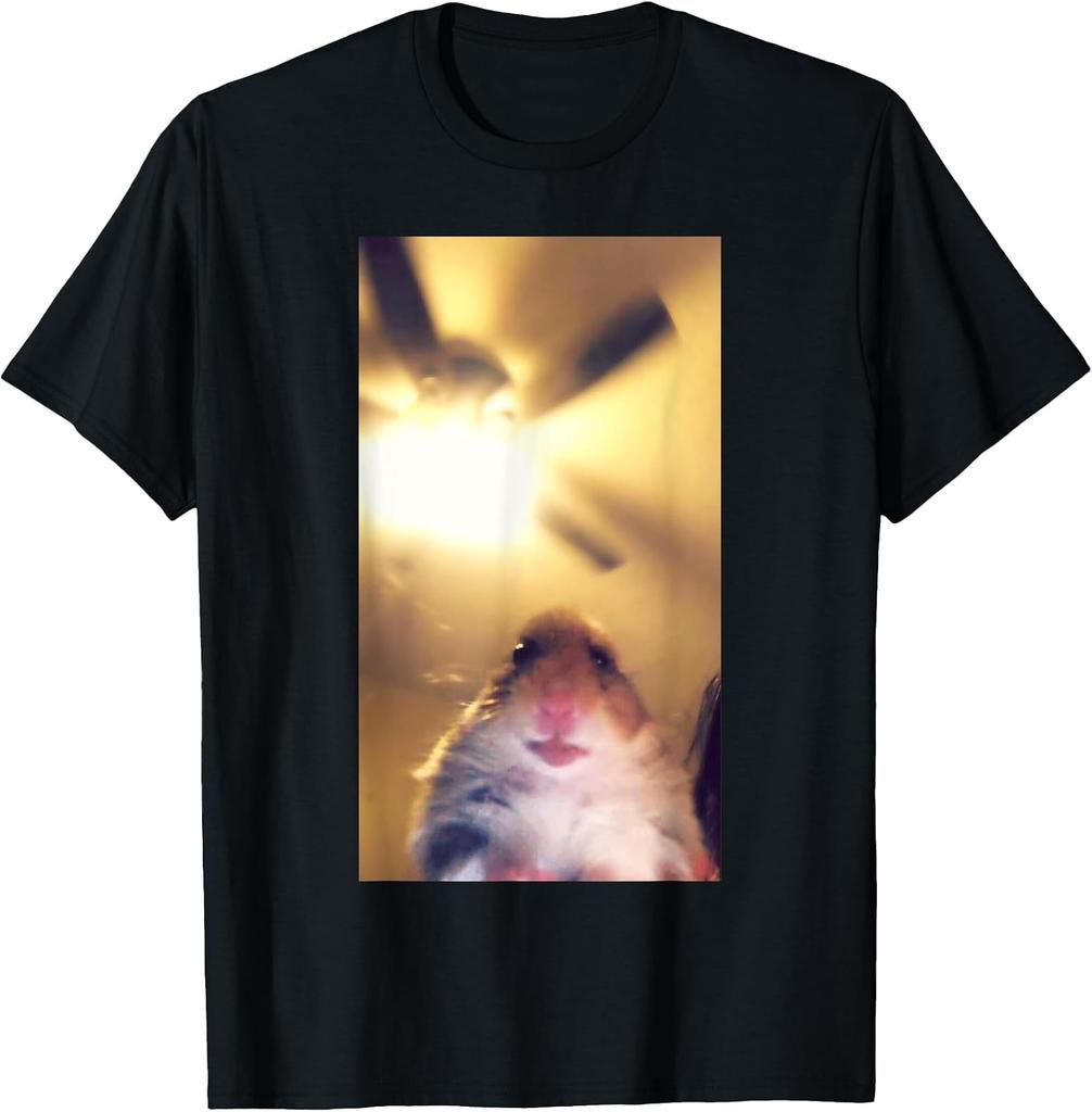 Meme Hamster Staring Front Camera T-Shirt