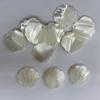 2 Stück/Packung Natürliche schillernde Perlmutt-Jakobsmuschelschalen-Anhänger 20x21mm Einzelbohrung Weiße Muschelperlen Für Ozean-Thema DIY Ohrring Schmuckherstellung