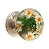 Decorative Orb Door Handle with Clear Resin Art Work Metal Ergonomic Shape Hassle Easy Installation for House