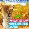 100PC Wheeat Straw Umweltschutz Creative Hot Party Wheaat Straw
