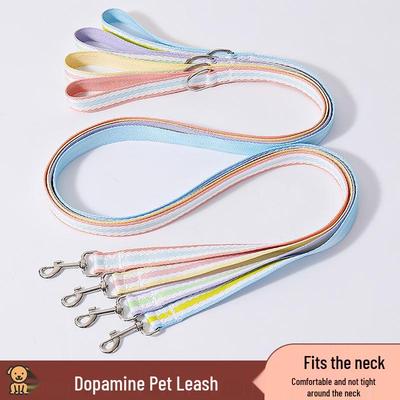 Dog Walking Leash & Collar for Small/Medium Dogs - Corgi, Shiba Inu, Border Collie, Elderly Dogs, and Cats