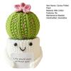 Crochet Cactus Potted Plants, Handmade Knitted Cactus for Home Office Car Decoration, Decorative Plants for Lasting Beauty, Gift for Women Family