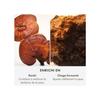 Soothing Cream - ORIGINS - Mega-Mushroom - 1.7 Oz - Hypoallergenic - All Skin Types