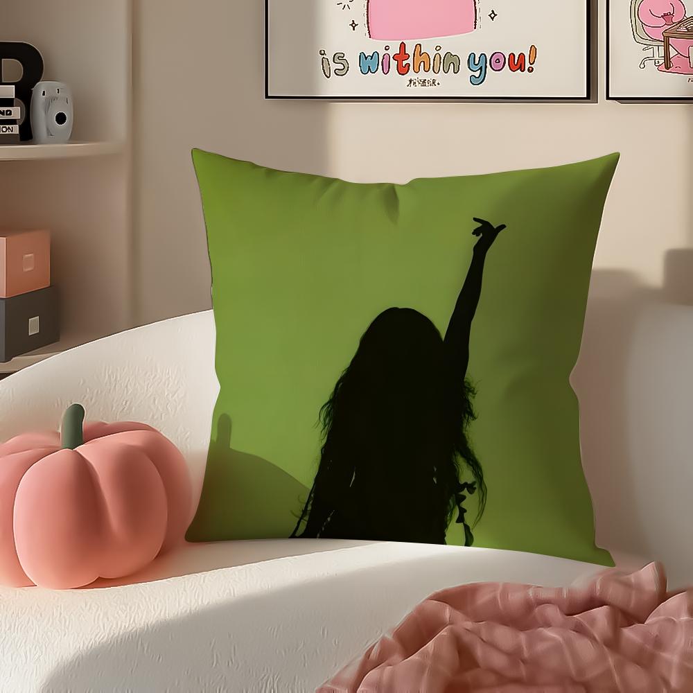 Singer Pop CCharli XCXX Cushion Cover Pillowcase Short Plush Invisible Zipper Room Sofa Cushion Cover