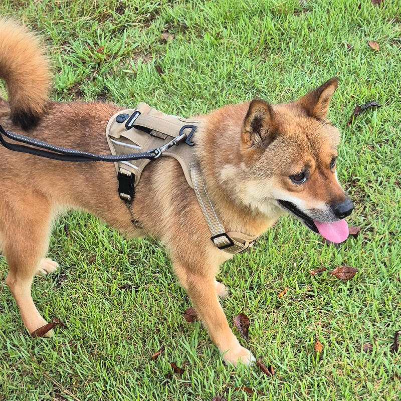 Ein-Taschen-Geschirr für große Hunde (Braun XL)