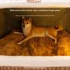 Autumn and Winter Dog Large Dog Bear Curved House Kennel Warm Thickened Windproof Cat Litter Large Dog Pet Supplies Accessory