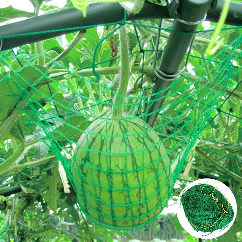 Nylon Planting Climbing Netting Garden Trellis Mesh For Plant Grow Climbing Vegetable Cucumber Loofah Morning Glory Vines