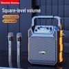 Newsmy K503 Portable Karaoke Speaker with Dual Mics (CN version)