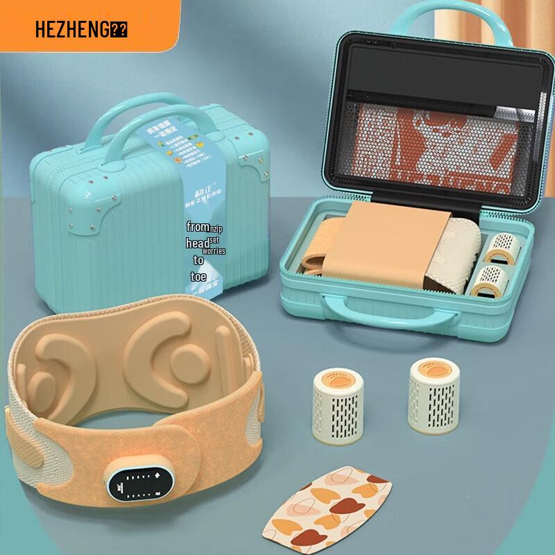 Hezheng Bi-directional Vibrating Waist Massager