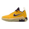 LeBron Witness 9