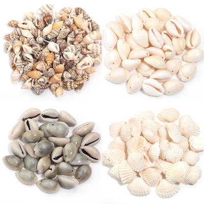 15-85pcs Natural Conch Shell Beads Loose Spacer Beads Charm Beads For DIY Crafts Necklace Bracelet Jewelry Making Accessories