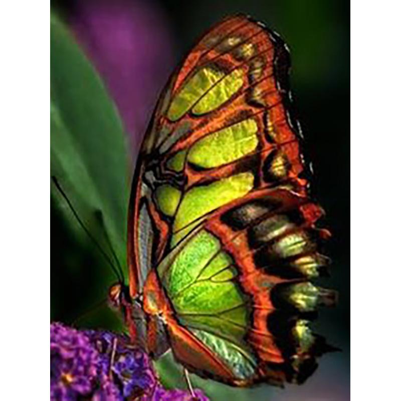 DIY 5D Diamond Painting Butterfly Full Round Drill Floral Diamond Embroidery Cross Stitch Mosaic Wall Art Home Decor Gift