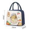 Large Capacity Insulated Lunch Bag Multicolor Waterproof Aluminum Foil Handbag & Cartoon Pattern Insulated Lunch Box Bag