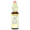 Original Flower Remedies, Wild Oat, 10Ml(0.35Fl Oz)