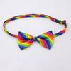 Fashionable Rainbow Braces and Striped Bowtie Set Perfect for Birthday Wedding Formal and Casual Occasion