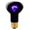 E26 Base Heating Light Bulb High Temperature Resistance Night Light Bulb Amphibian Heat Lamp  Pet