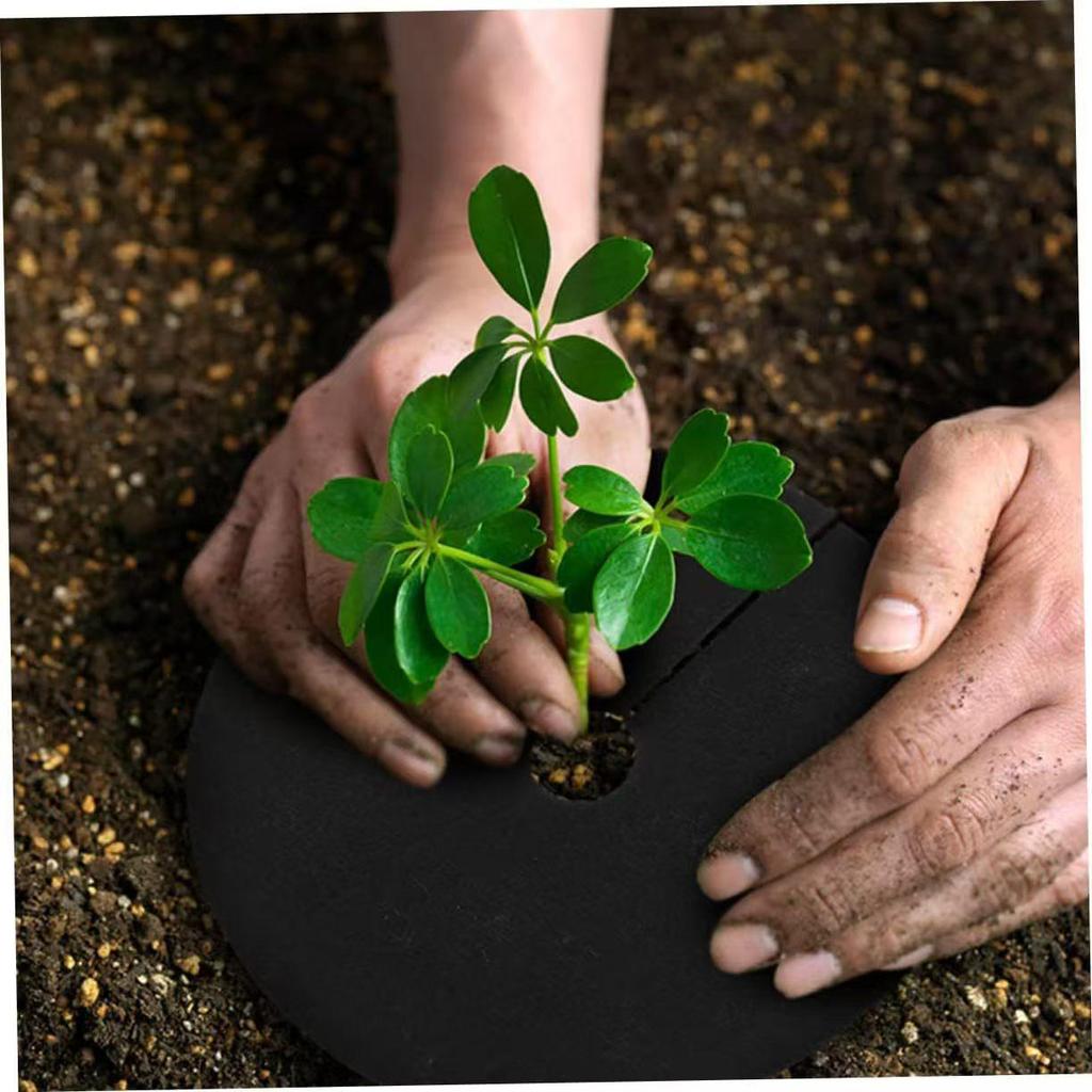 Eco-Friendly Weed Barrier Cloth for Horticulture and Orchards - Breathable, Moisture-Retaining Ground Cover.